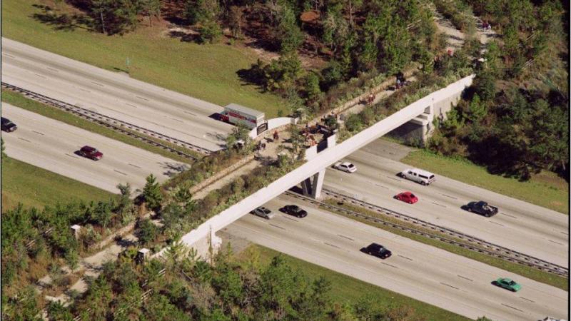 View of Landbridge from I75